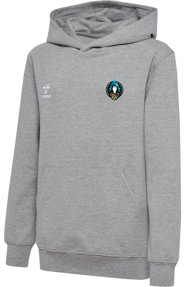 Hoodie GO 2.0 Gris - Collection Champagne Basket x HUMMEL