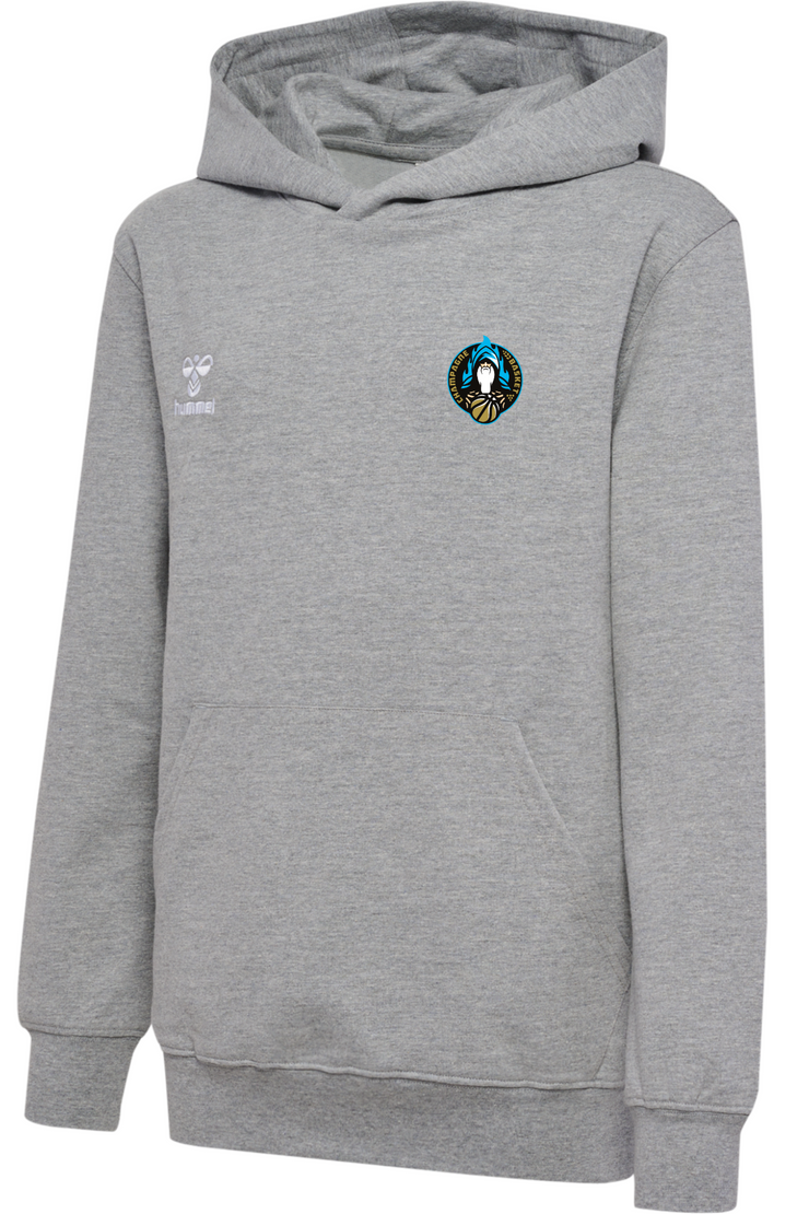 Hoodie GO 2.0 Gris - Collection Champagne Basket x HUMMEL