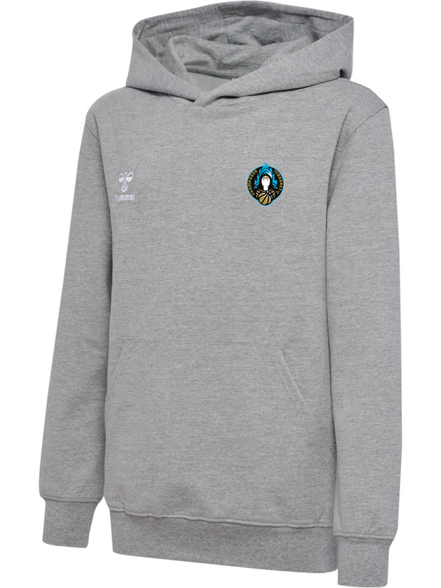 Hoodie GO 2.0 Gris - Collection Champagne Basket x HUMMEL