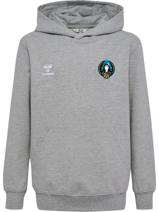 Hoodie GO 2.0 Gris - Collection Champagne Basket x HUMMEL